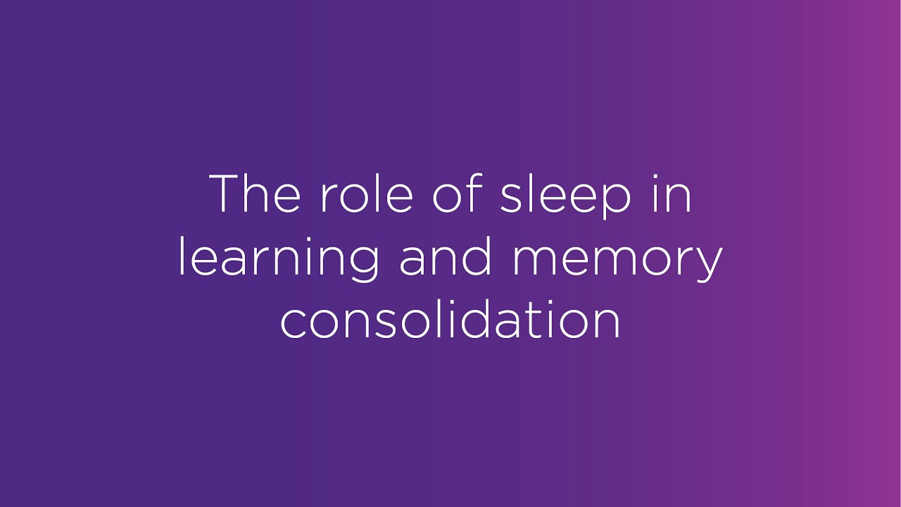Webinar: The role of sleep in learning and memory consolidation