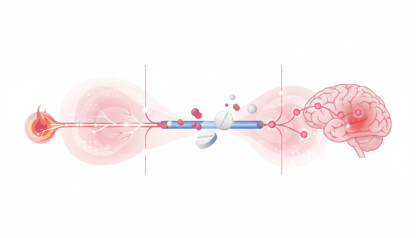 How Co-Codamol Works in the Body
