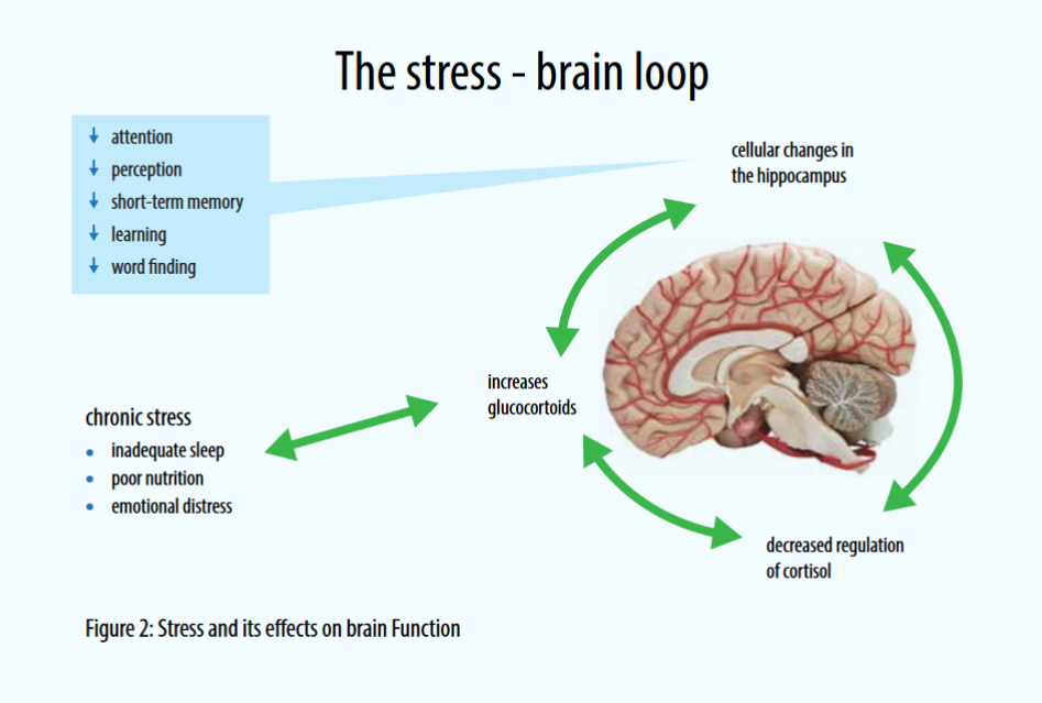 What are the effects of chronic stress on sleep?