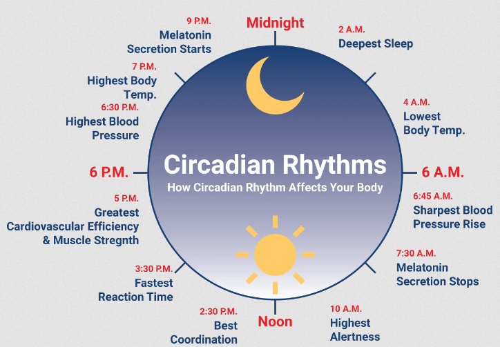 Can stress affect circadian rhythms and sleep-wake cycles?