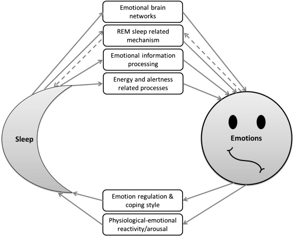 Sleep schedule and its connection to mood and emotions