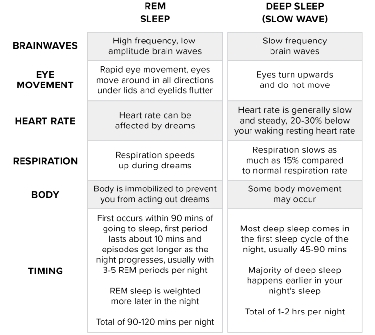 What are the characteristics of light sleep?