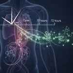 How Long Do Opioids Stay in Your System