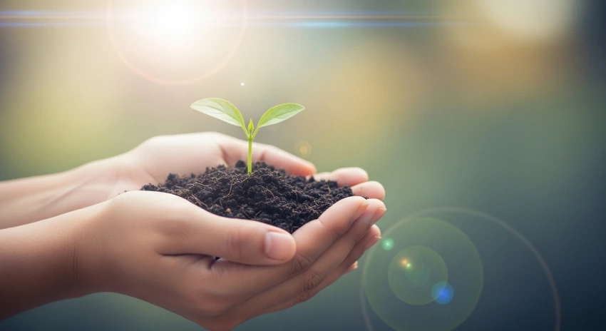 Brain chemistry and anxiety illustration